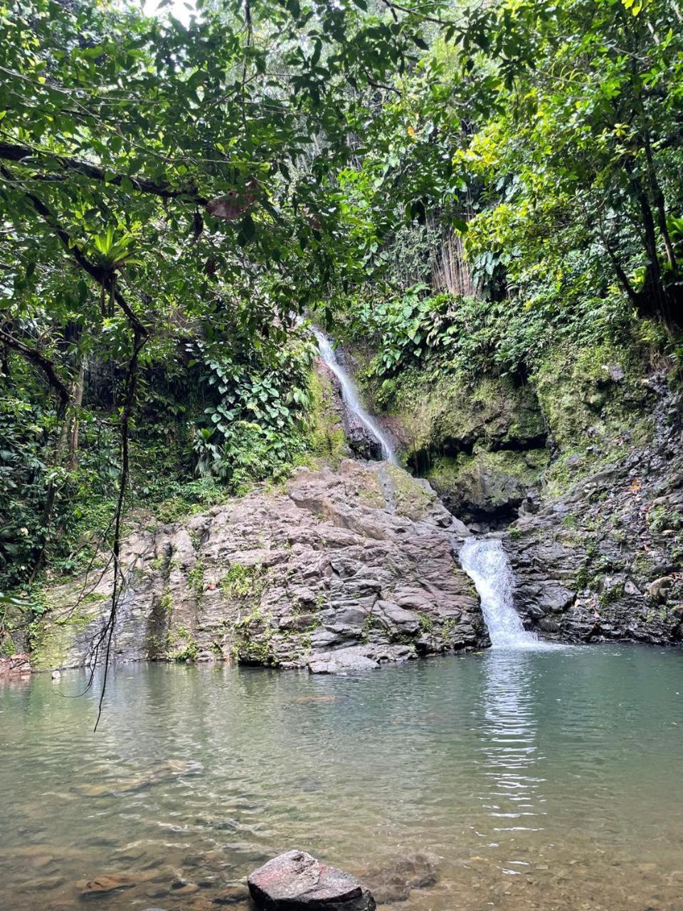 Villa Barthelemy Goyave 外观 照片